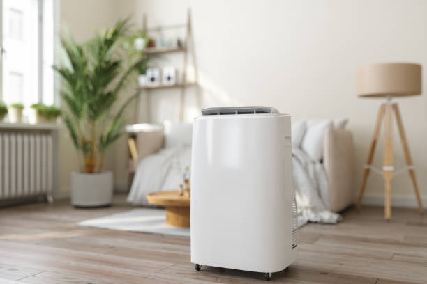 Best Air quality test  in Avon Park, FL